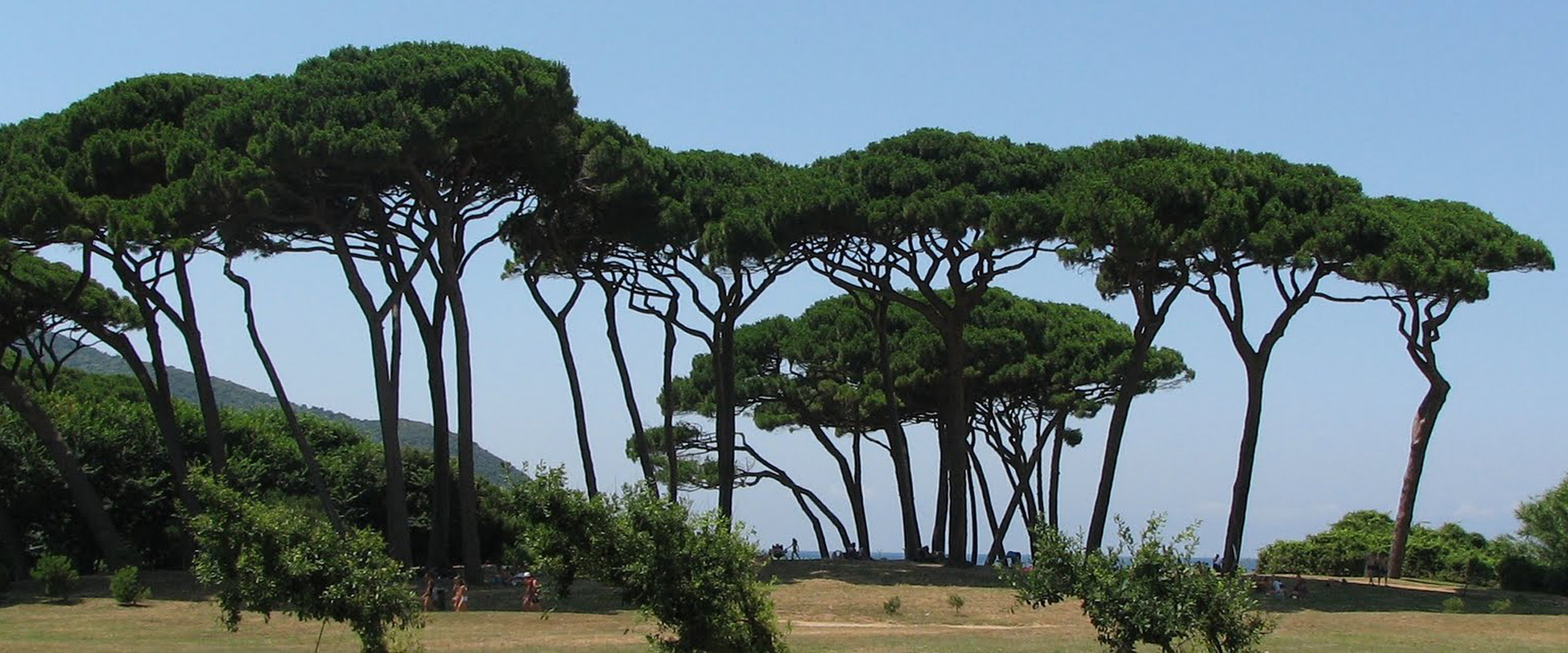 https://fr.camerecampiglia.it/uploads/images/slider/baratti.jpg